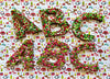 Christmas Sprinkle Chocolate Letters
