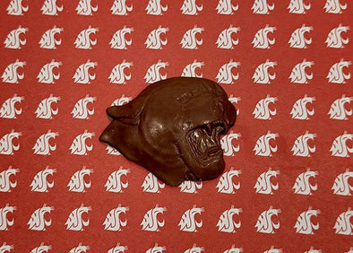 Chocolate WSU Cougar