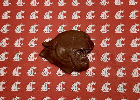 Chocolate WSU Cougar
