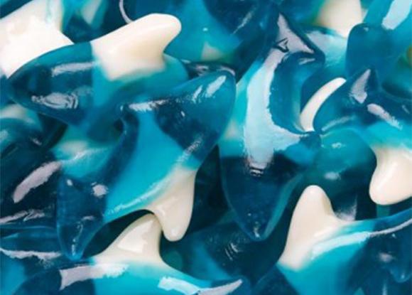 Blue Gummi Sharks