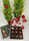 9 Piece Christmas Truffle Box