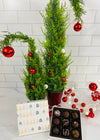 9 Piece Christmas Truffle Box