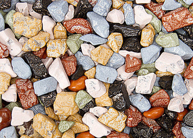 Chocolate Candy Seashells – Bruce's Candy Kitchen